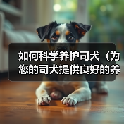 如何科学养护司犬（为您的司犬提供良好的养护环境）