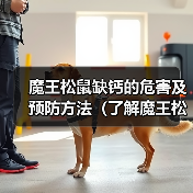 魔王松鼠缺钙的危害及预防方法（了解魔王松鼠缺钙会有哪些不良影响以及如何预防）（图2）