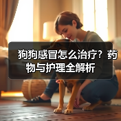 狗狗感冒怎么治疗?药物与护理全解析(图3) 狗狗感冒怎么治疗?药物与护理全解析(图3)