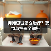狗狗感冒怎么治疗?药物与护理全解析(图4) 狗狗感冒怎么治疗?药物与护理全解析(图4)