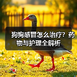 狗狗感冒怎么治疗？药物与护理全解析