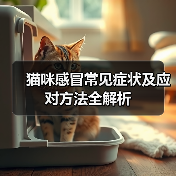 猫咪感冒常见症状及应对方法全解析(图2) 猫咪感冒常见症状及应对方法全解析(图2)