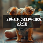 狗狗趾间炎红肿化脓怎么处理(图4) 狗狗趾间炎红肿化脓怎么处理(图4)