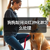 狗狗趾间炎红肿化脓怎么处理(图3) 狗狗趾间炎红肿化脓怎么处理(图3)