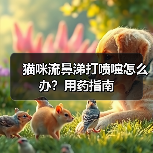 猫咪流鼻涕打喷嚏怎么办?用药指南(图2) 猫咪流鼻涕打喷嚏怎么办?用药指南(图2)