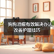 狗狗泪痕有效解决办法 改善护理技巧