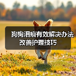 狗狗泪痕有效解决办法 改善护理技巧(图4) 狗狗泪痕有效解决办法 改善护理技巧(图4)