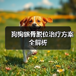 狗狗髌骨脱位治疗方案全解析(图2) 狗狗髌骨脱位治疗方案全解析(图2)