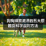狗狗频繁流泪的五大原因及科学应对方法(图3) 狗狗频繁流泪的五大原因及科学应对方法(图3)