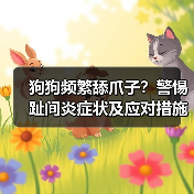 狗狗频繁舔爪子?警惕趾间炎症状及应对措施(图2) 狗狗频繁舔爪子?警惕趾间炎症状及应对措施(图2)