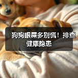 狗狗眼屎多别慌!排查健康隐患(图4) 狗狗眼屎多别慌!排查健康隐患(图4)