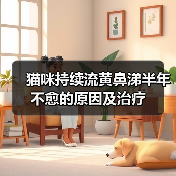 猫咪持续流黄鼻涕半年不愈的原因及治疗(图3) 猫咪持续流黄鼻涕半年不愈的原因及治疗(图3)