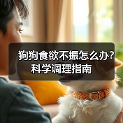 狗狗食欲不振怎么办?科学调理指南(图4) 狗狗食欲不振怎么办?科学调理指南(图4)