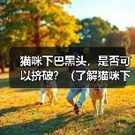 猫咪下巴黑头,是否可以挤破?(了解猫咪下巴黑头的成因及处理方法)(图3) 猫咪下巴黑头,是否可以挤破?(了解猫咪下巴黑头的成因及处理方法)(图3)