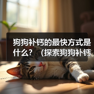 狗狗补钙的最快方式是什么？（探索狗狗补钙的有效方法，让您的狗狗健康成长）