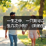 一生之中，一只狗可以生几次小狗？（狗的生育能力及其限制）