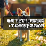 母狗下崽后的观察指南（了解母狗下崽后的行为与需求，帮助你更好地照顾她）