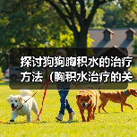 探讨狗狗胸积水的治疗方法(胸积水治疗的关键在于早期发现和综合治疗)(图3) 探讨狗狗胸积水的治疗方法(胸积水治疗的关键在于早期发现和综合治疗)(图3)