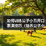 如何训练公子小丑开口表演技巧（培养公子小丑的口才，提升表演魅力）