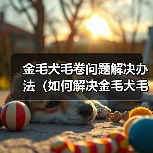 金毛犬毛卷问题解决办法（如何解决金毛犬毛卷问题）