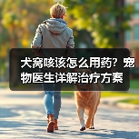 犬窝咳该怎么用药？宠物医生详解治疗方案
