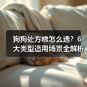 狗狗处方粮怎么选?6大类型适用场景全解析(图2) 狗狗处方粮怎么选?6大类型适用场景全解析(图2)