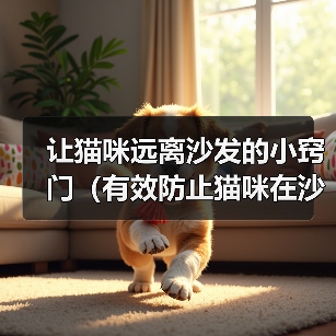 让猫咪远离沙发的小窍门（有效防止猫咪在沙发上睡觉的方法）（图2）