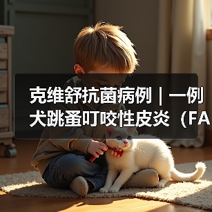 克维舒抗菌病例 | 一例犬跳蚤叮咬性皮炎（FAD）的病例分析