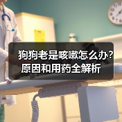 狗狗老是咳嗽怎么办?原因和用药全解析(图4) 狗狗老是咳嗽怎么办?原因和用药全解析(图4)