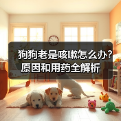 狗狗老是咳嗽怎么办？原因和用药全解析