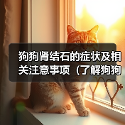 狗狗肾结石的症状及相关注意事项（了解狗狗肾结石，保护它们的健康）（图4）