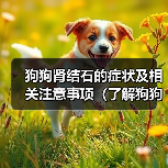 狗狗肾结石的症状及相关注意事项（了解狗狗肾结石，保护它们的健康）（图3）