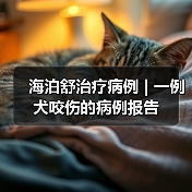 海泊舒治疗病例 | 一例犬咬伤的病例报告(图3) 海泊舒治疗病例 | 一例犬咬伤的病例报告(图3)