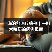 海泊舒治疗病例 | 一例犬咬伤的病例报告(图4) 海泊舒治疗病例 | 一例犬咬伤的病例报告(图4)