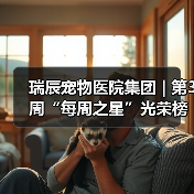 瑞辰宠物医院集团 | 第3周“每周之星”光荣榜(图3) 瑞辰宠物医院集团 | 第3周“每周之星”光荣榜(图3)