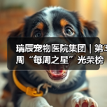 瑞辰宠物医院集团 | 第3周“每周之星”光荣榜(图4) 瑞辰宠物医院集团 | 第3周“每周之星”光荣榜(图4)