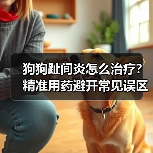 狗狗趾间炎怎么治疗?精准用药避开常见误区(图2) 狗狗趾间炎怎么治疗?精准用药避开常见误区(图2)