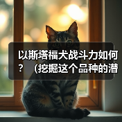 以斯塔福犬战斗力如何？（挖掘这个品种的潜力，探究其战斗能力的来源）（图4）