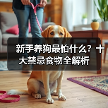 新手养狗最怕什么?十大禁忌食物全解析(图2) 新手养狗最怕什么?十大禁忌食物全解析(图2)