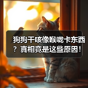 狗狗干咳像喉咙卡东西?真相竟是这些原因!(图4) 狗狗干咳像喉咙卡东西?真相竟是这些原因!(图4)