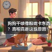 狗狗干咳像喉咙卡东西?真相竟是这些原因!(图2) 狗狗干咳像喉咙卡东西?真相竟是这些原因!(图2)