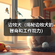 边牧犬（揭秘边牧犬的智商和工作能力）（图2）