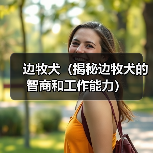 边牧犬（揭秘边牧犬的智商和工作能力）