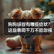 狗狗感冒有哪些症状?这些表现千万不能忽视!(图3) 狗狗感冒有哪些症状?这些表现千万不能忽视!(图3)