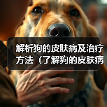 解析狗的皮肤病及治疗方法（了解狗的皮肤病，提供有效治疗方法）