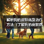 解析狗的皮肤病及治疗方法(了解狗的皮肤病,提供有效治疗方法)(图2) 解析狗的皮肤病及治疗方法(了解狗的皮肤病,提供有效治疗方法)(图2)