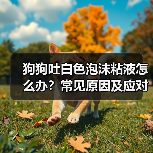 狗狗吐白色泡沫粘液怎么办?常见原因及应对措施全解析(图4) 狗狗吐白色泡沫粘液怎么办?常见原因及应对措施全解析(图4)