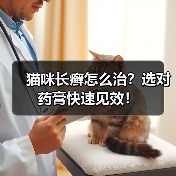 猫咪长癣怎么治?选对药膏快速见效!(图3) 猫咪长癣怎么治?选对药膏快速见效!(图3)