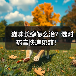 猫咪长癣怎么治？选对药膏快速见效！
