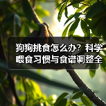 狗狗挑食怎么办?科学喂食习惯与食谱调整全攻略(图3) 狗狗挑食怎么办?科学喂食习惯与食谱调整全攻略(图3)